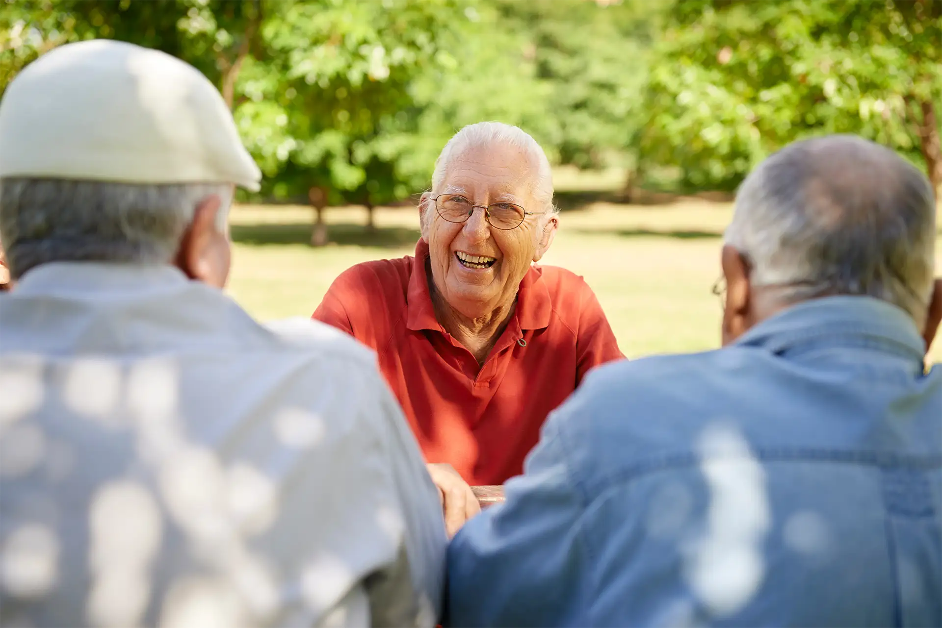 Three elderly men chatting in sunny park
